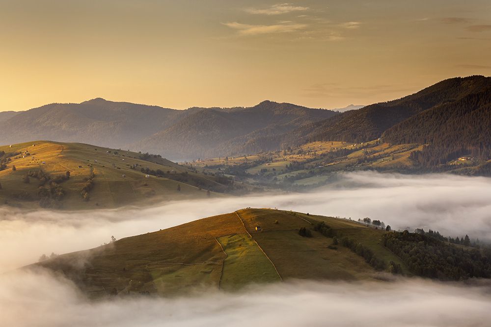 The island of the fog