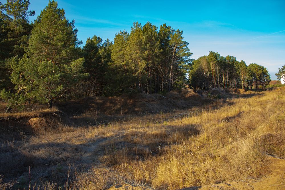 Golden (Золотой)