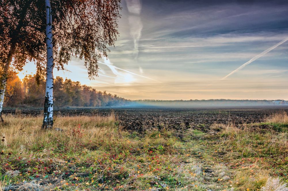 Осенний рассвет у поля..