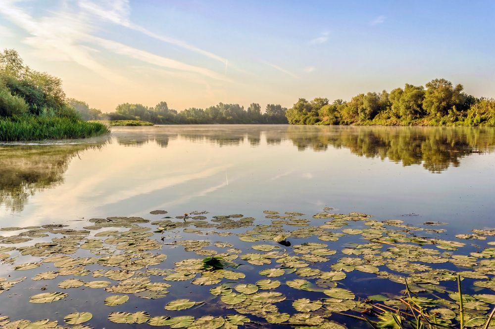 Река ранним утром..