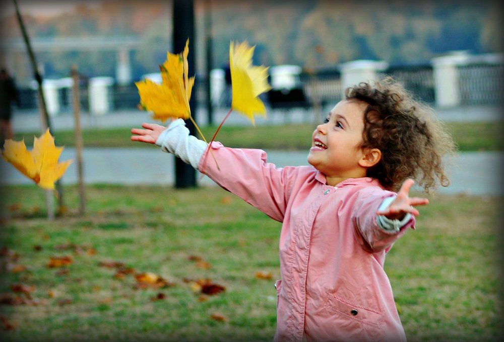 --Как красиво летят!