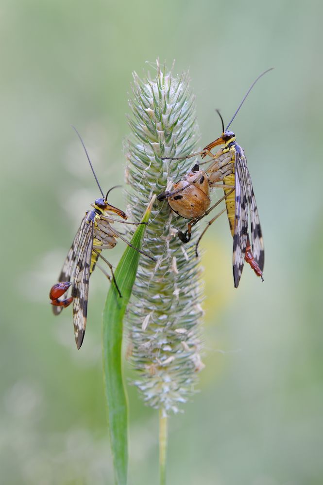 Семейный завтрак.