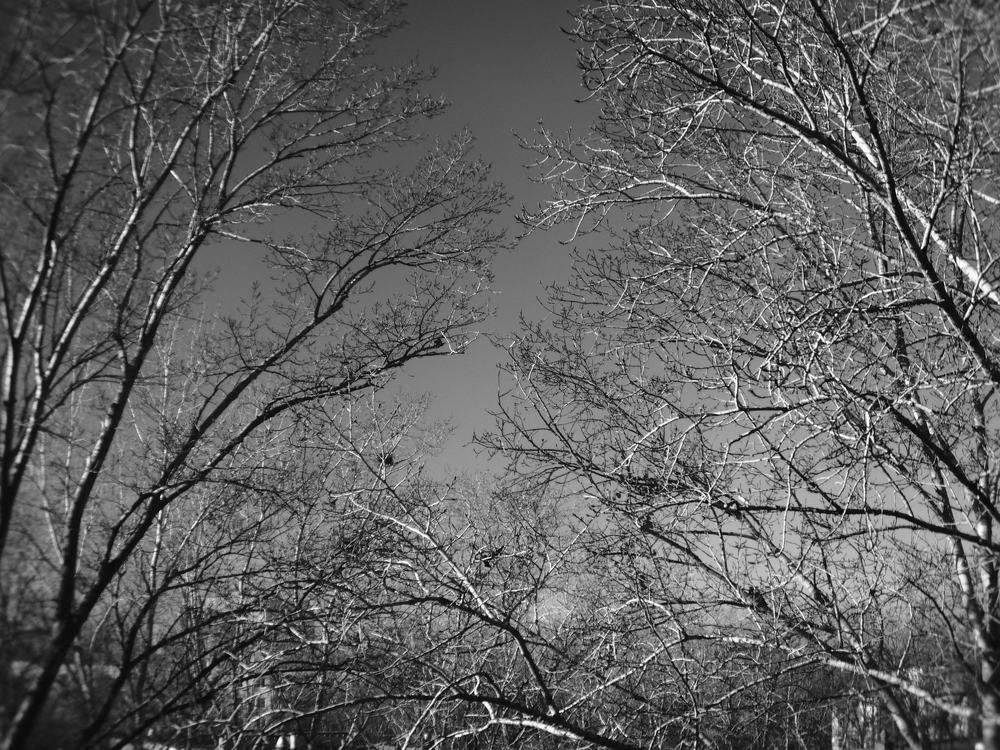 Чистый город