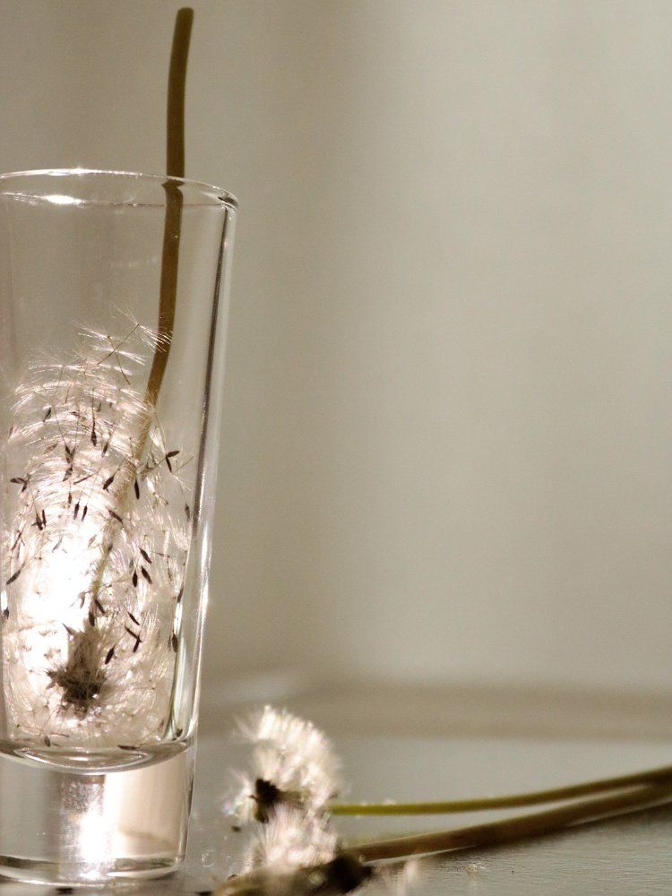 Photograph by Татьяна