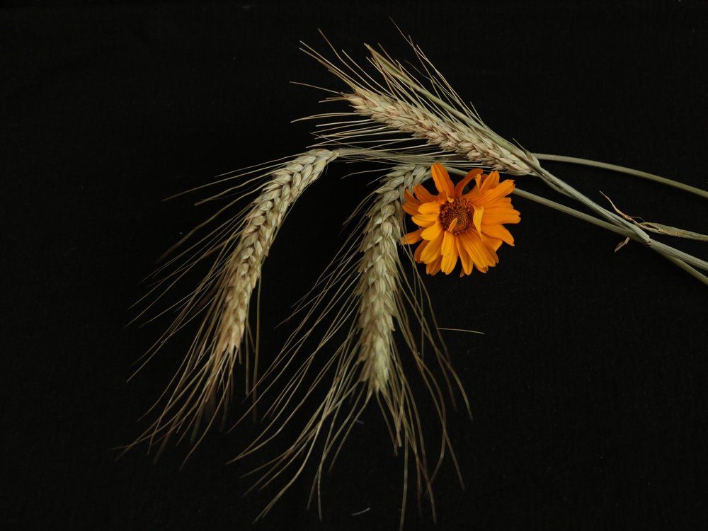 Photograph by Татьяна