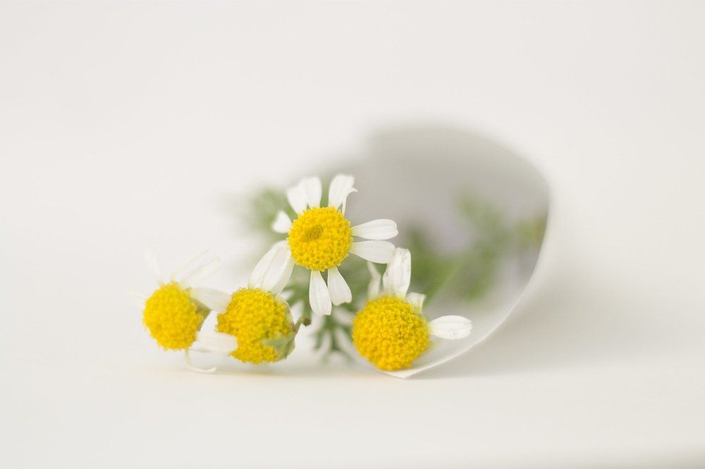 Мальеньки натюрморт