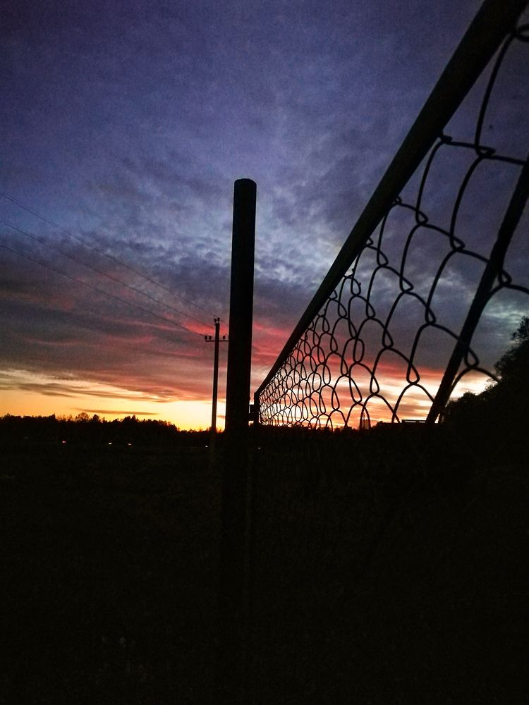Photo #2680311