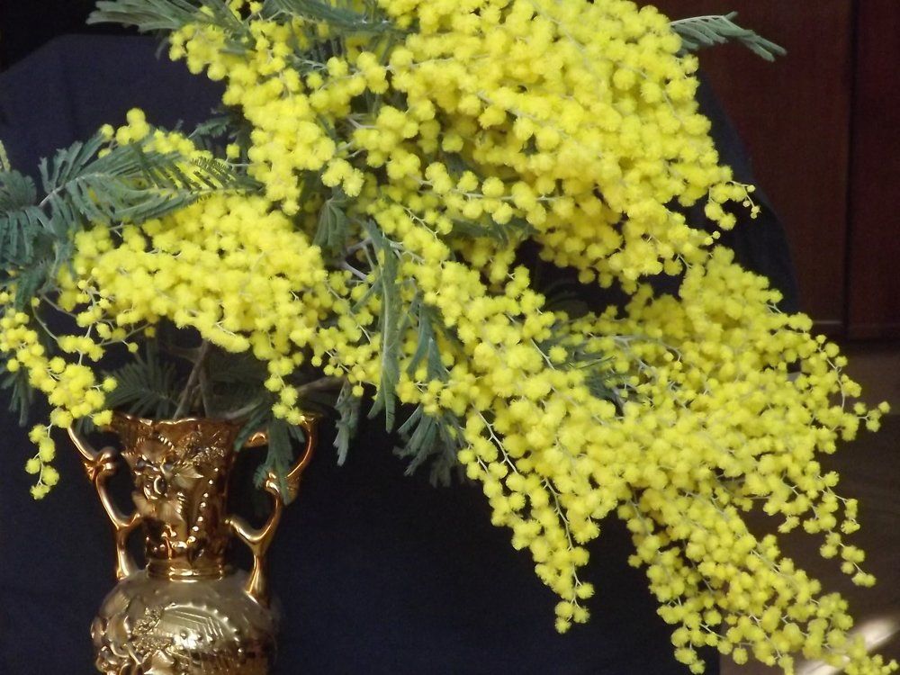 Весенний мотив.