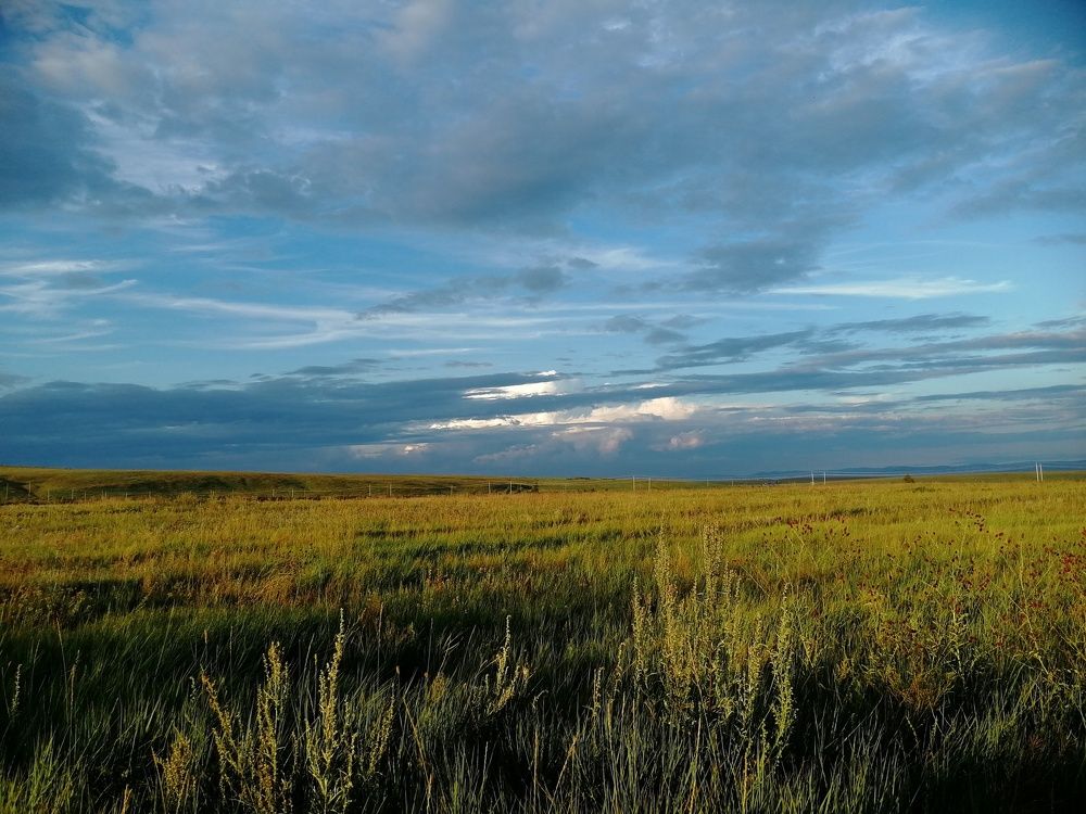 Бескрайние поле