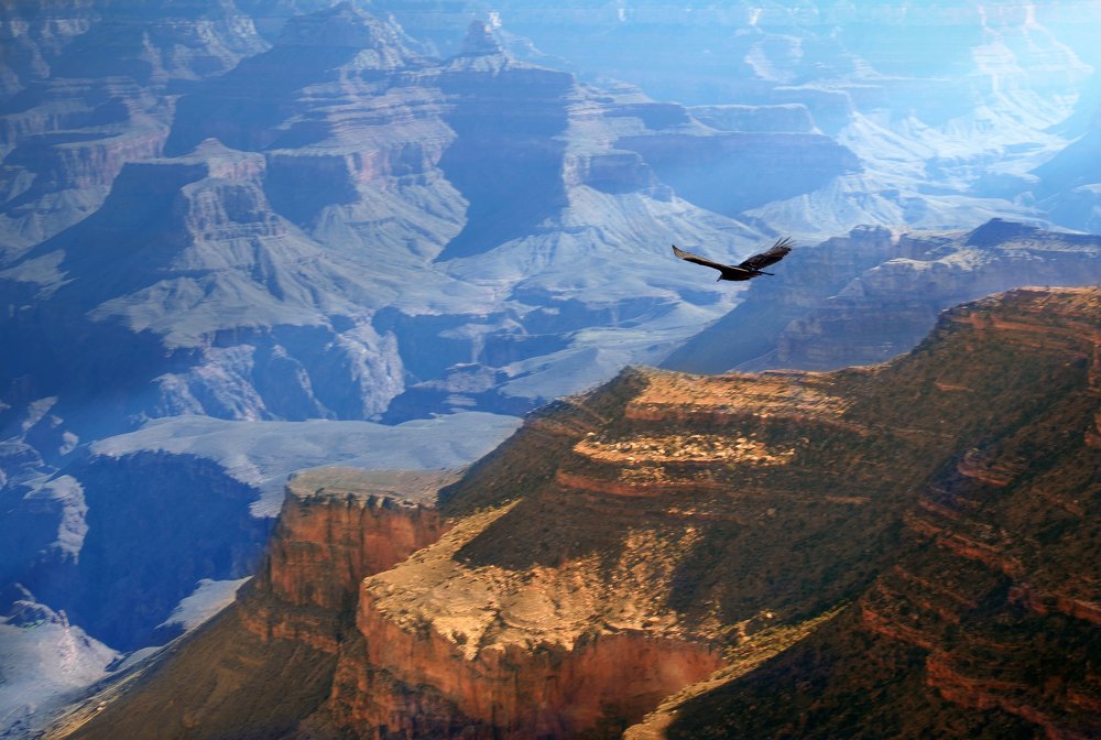 Great Canyon (colors)