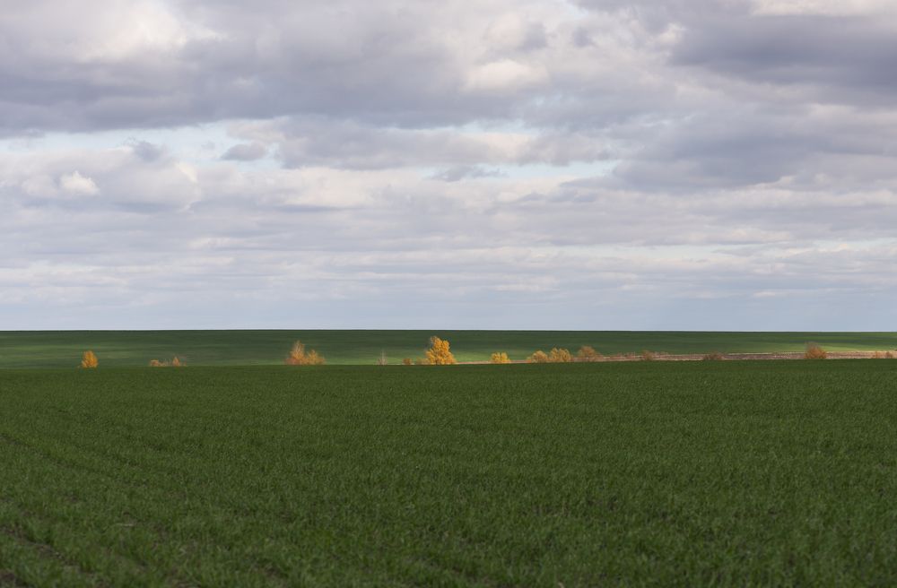 Линия осени