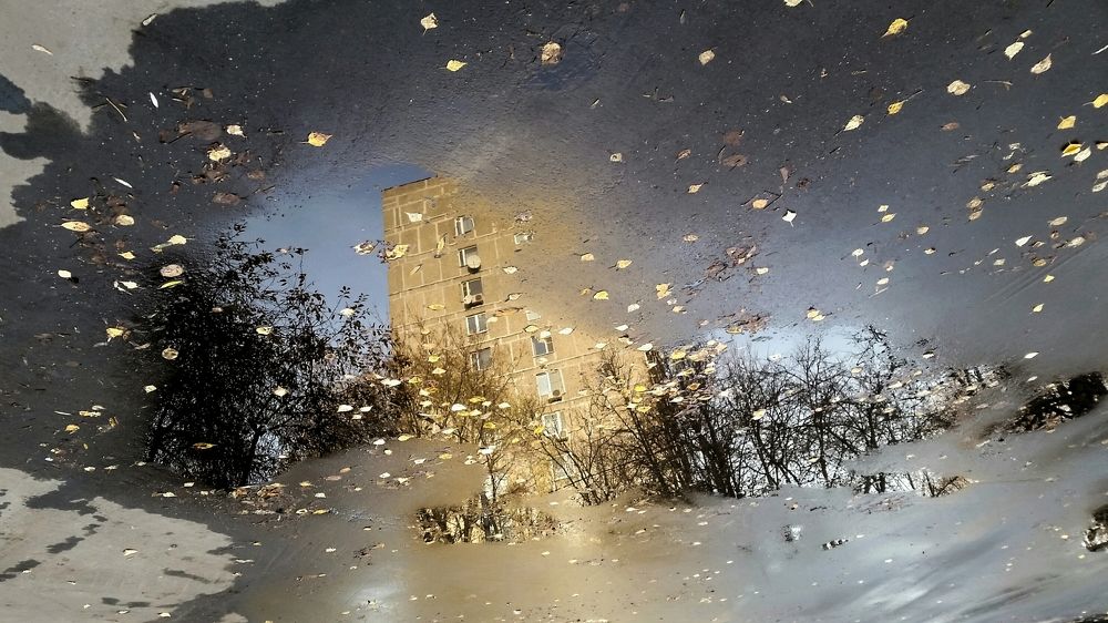 Осень в городе