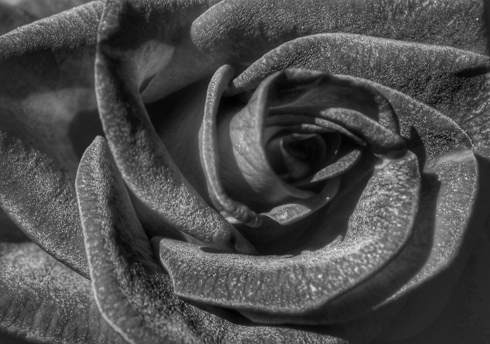 Фотография автора Alina Naidyonova