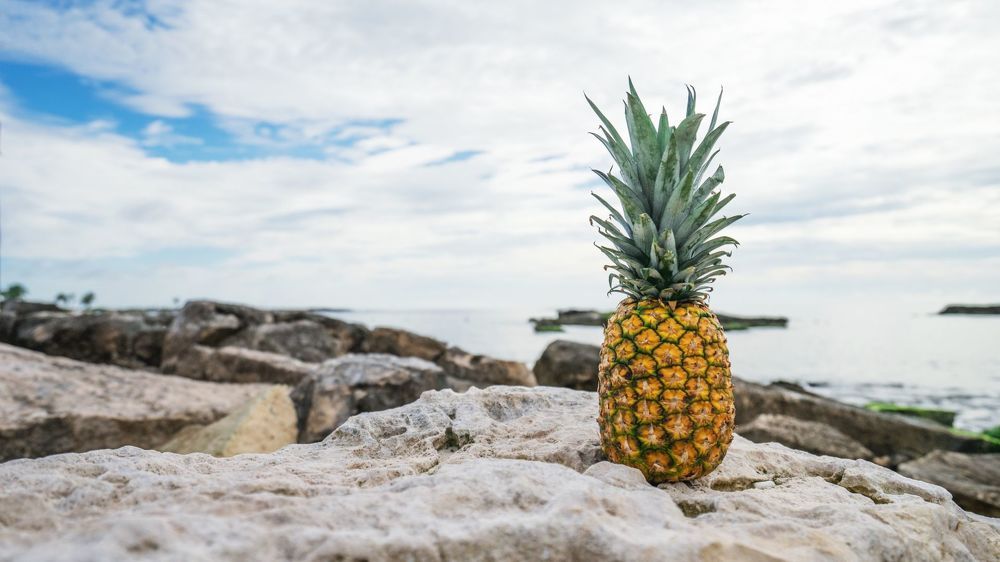Pineapple