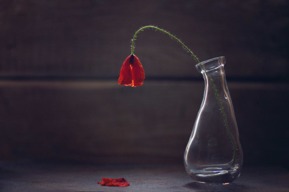 Все хорошо...