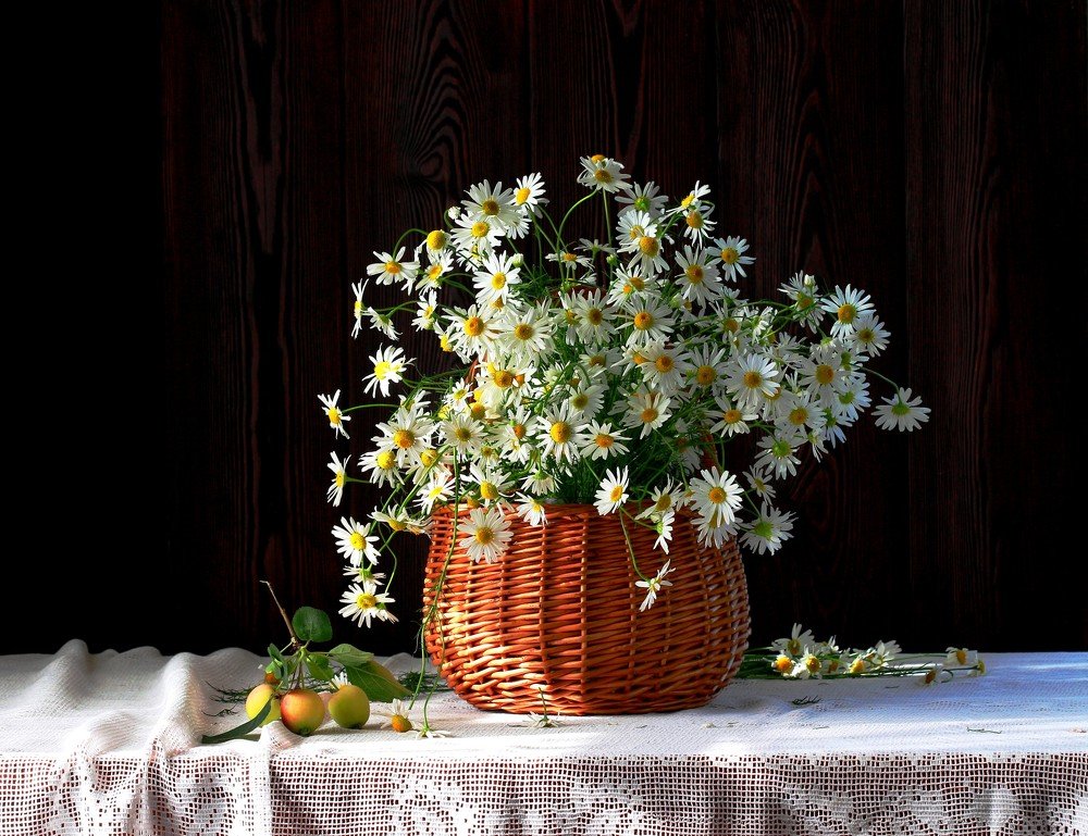 Ромашковое  лето