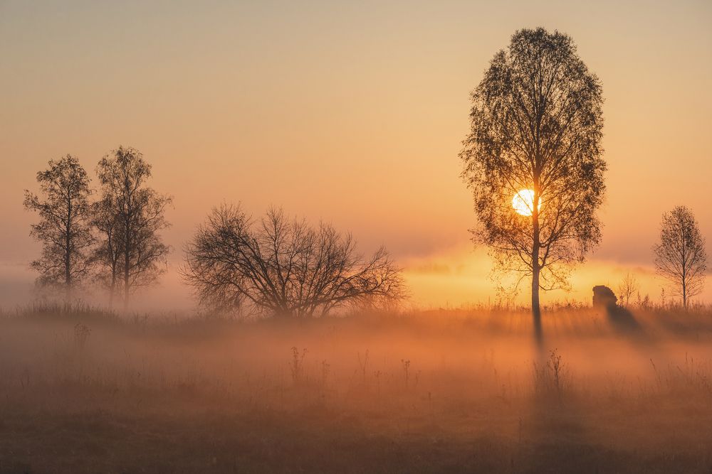Солнечное утро.