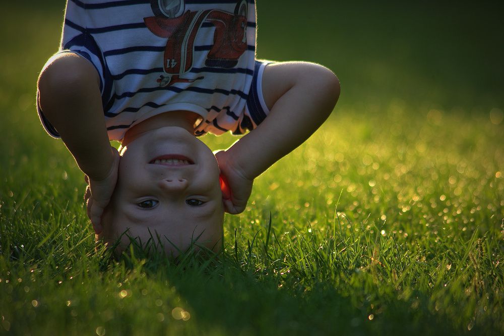 Детские шалости