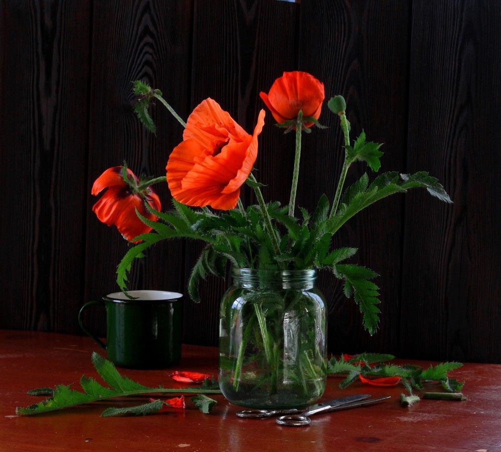 Просто  маки