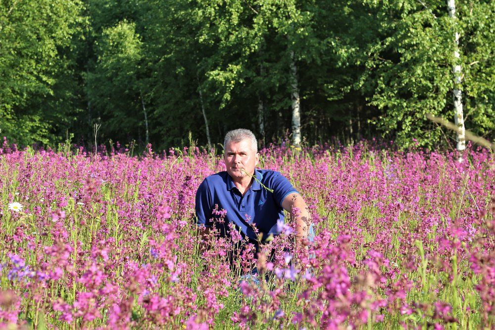 На лесной поляне