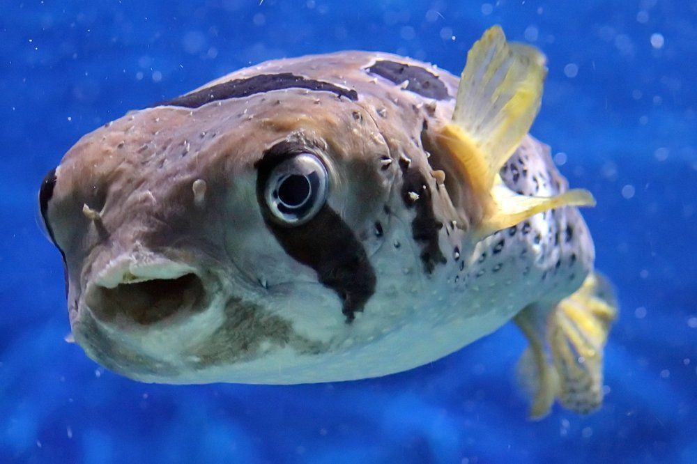 Photograph by Сергей Шаповалов