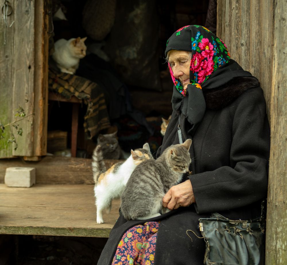 На деревенской улице