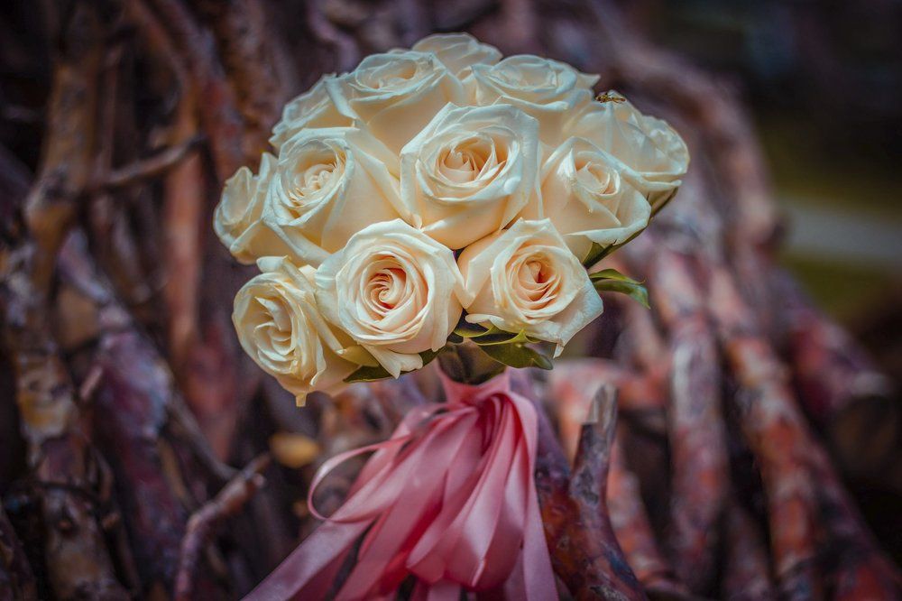 нежные розы