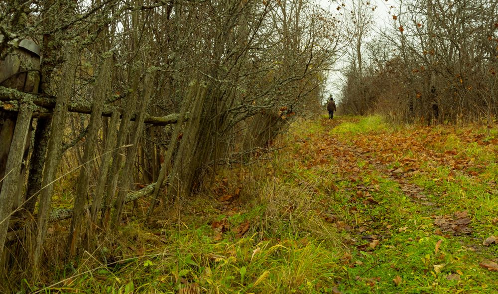 Заброшенная деревня