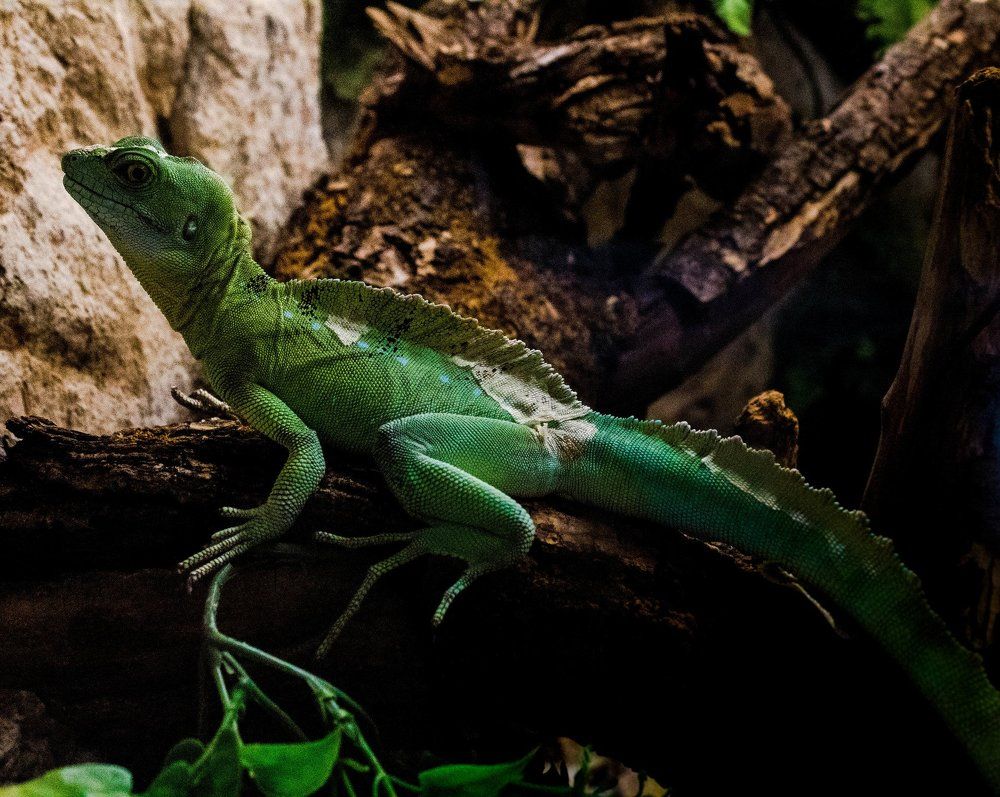 Photograph by Marija