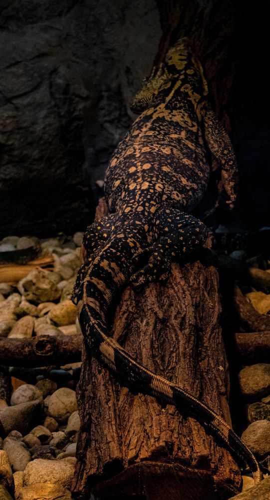 Photograph by Marija