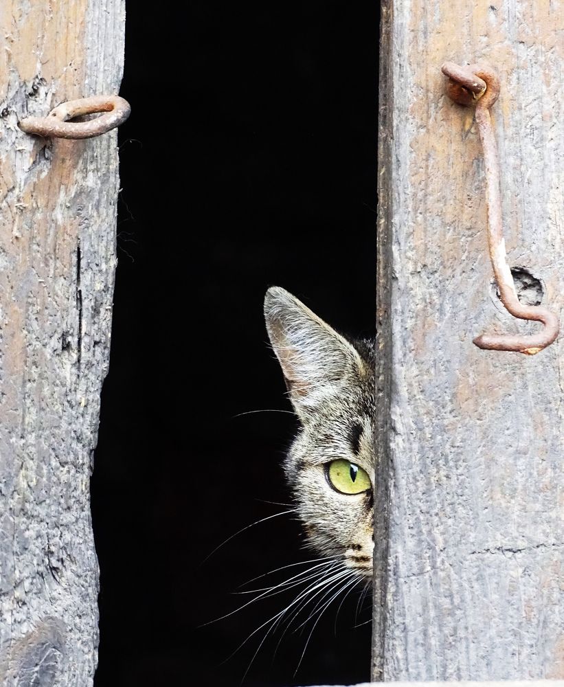 this dangerous world