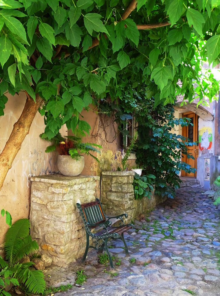 Quiet court. Old Tallinn