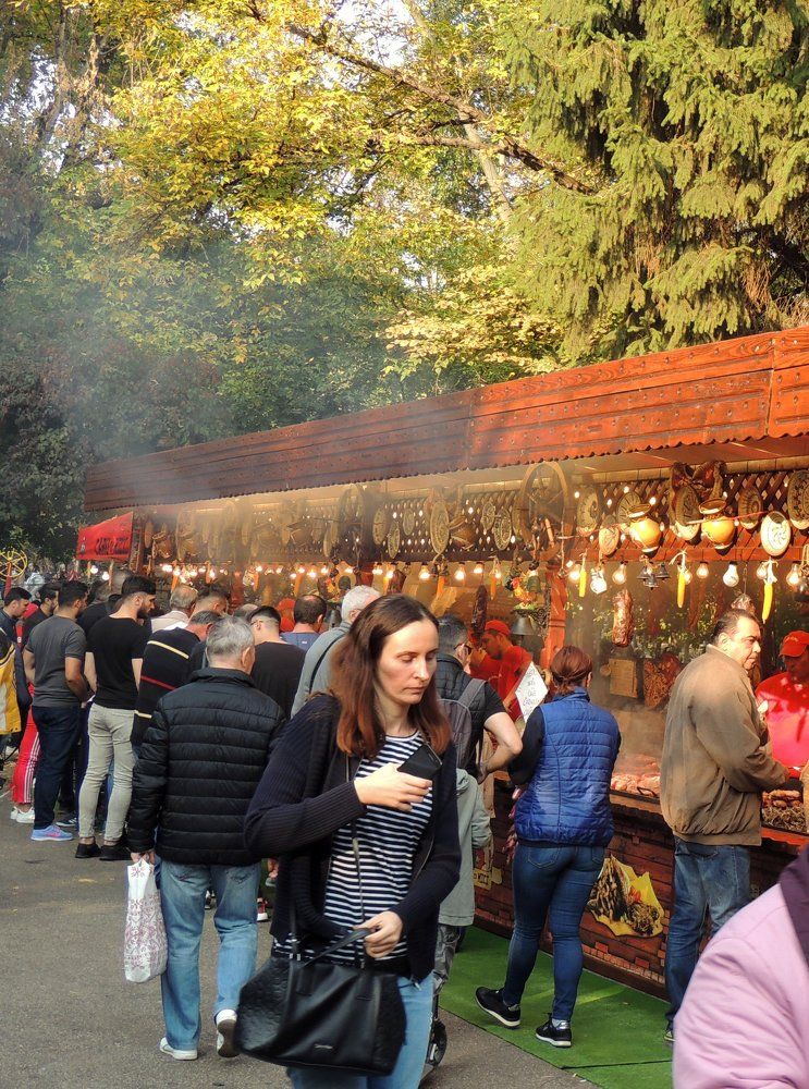 The fall in the Park