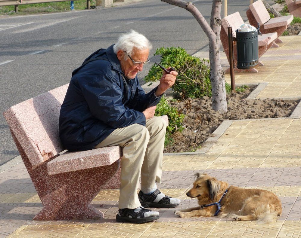 Старинные друзья. Old friends.