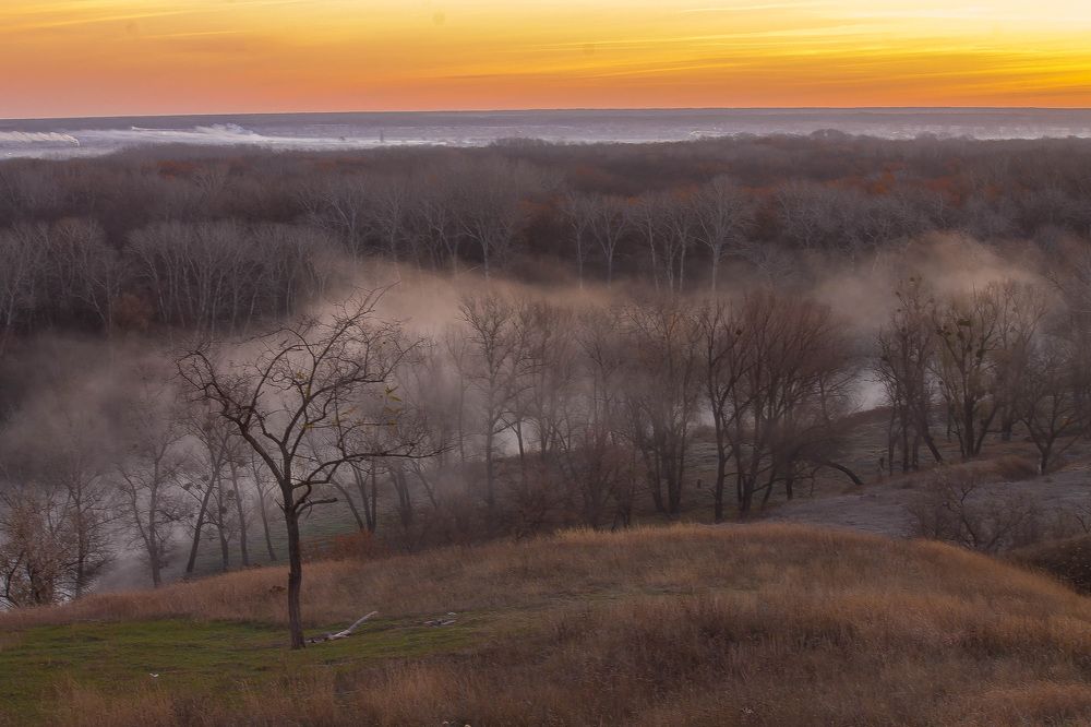 Туман над рекой