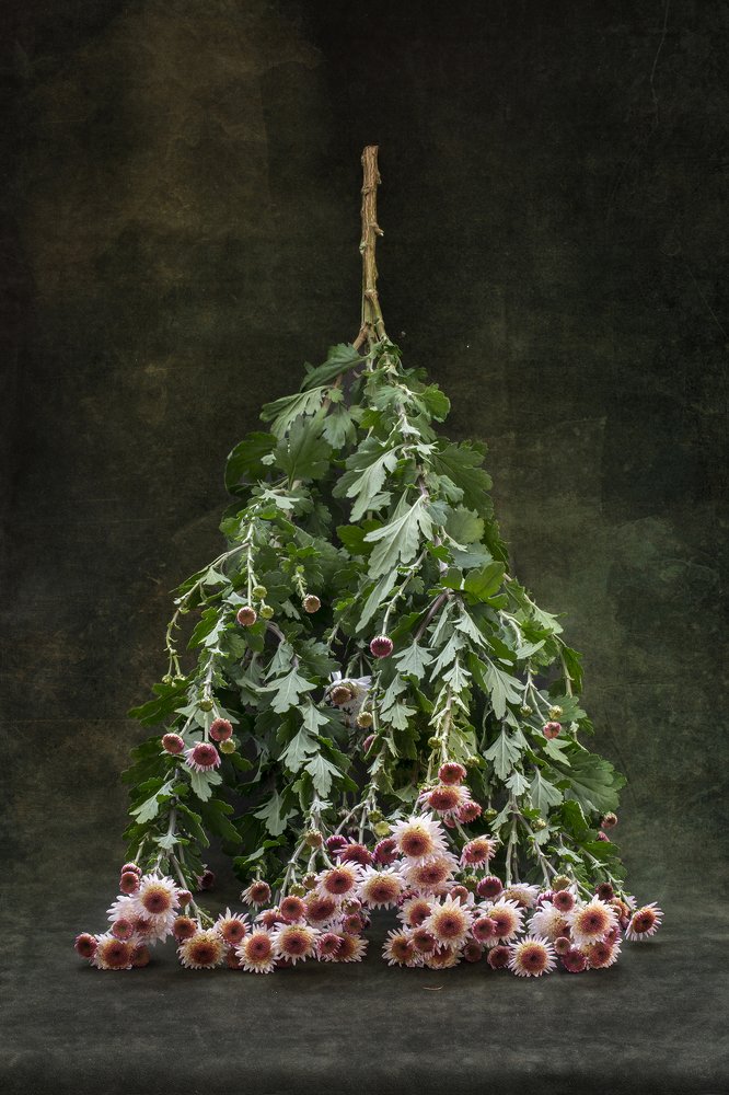 С Новым летом!!!