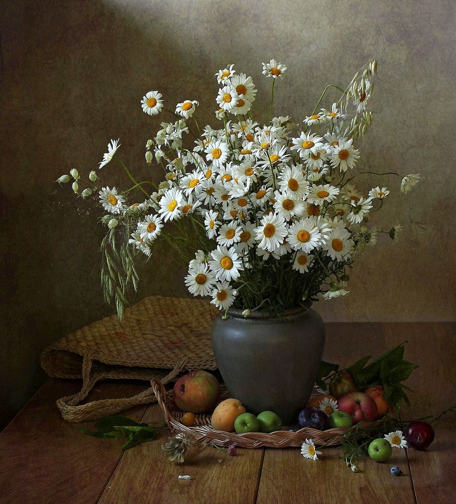 Ромашки белые