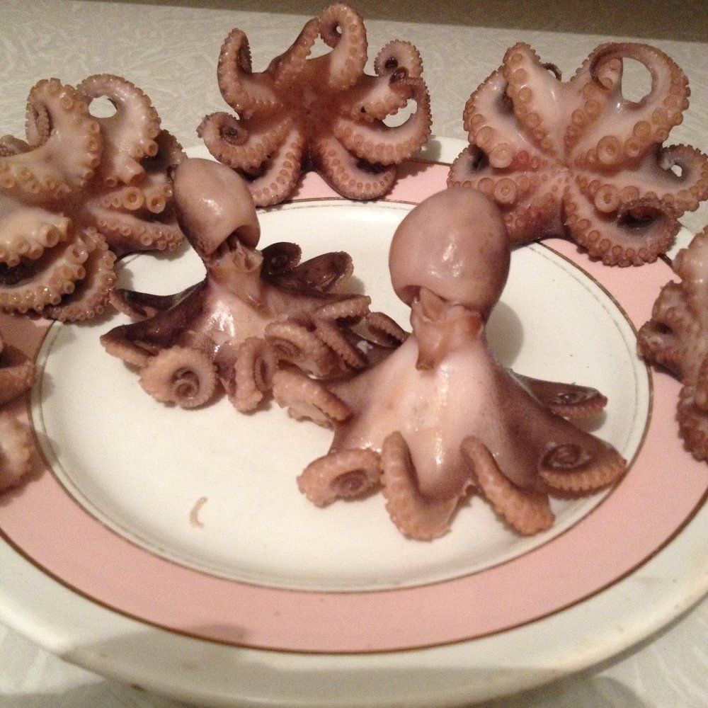 Осьминожки)