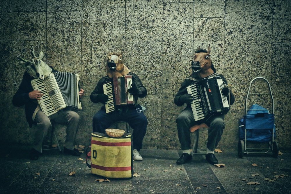 Accordion players