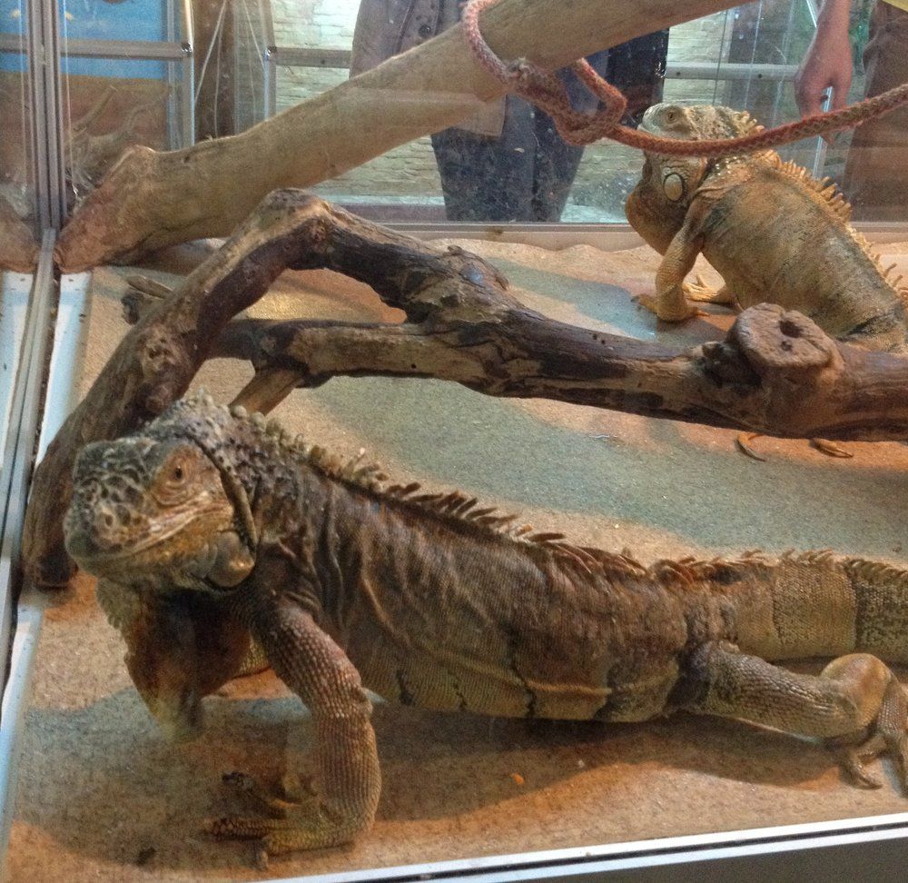 Здравствуйте!)