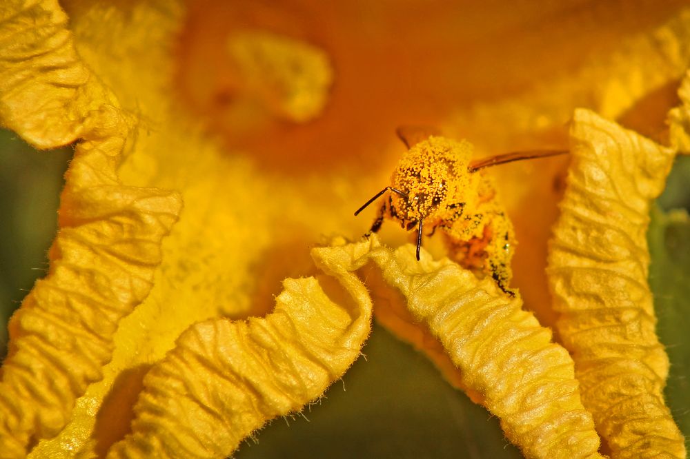 Фотография автора Дмитрий Маккеев