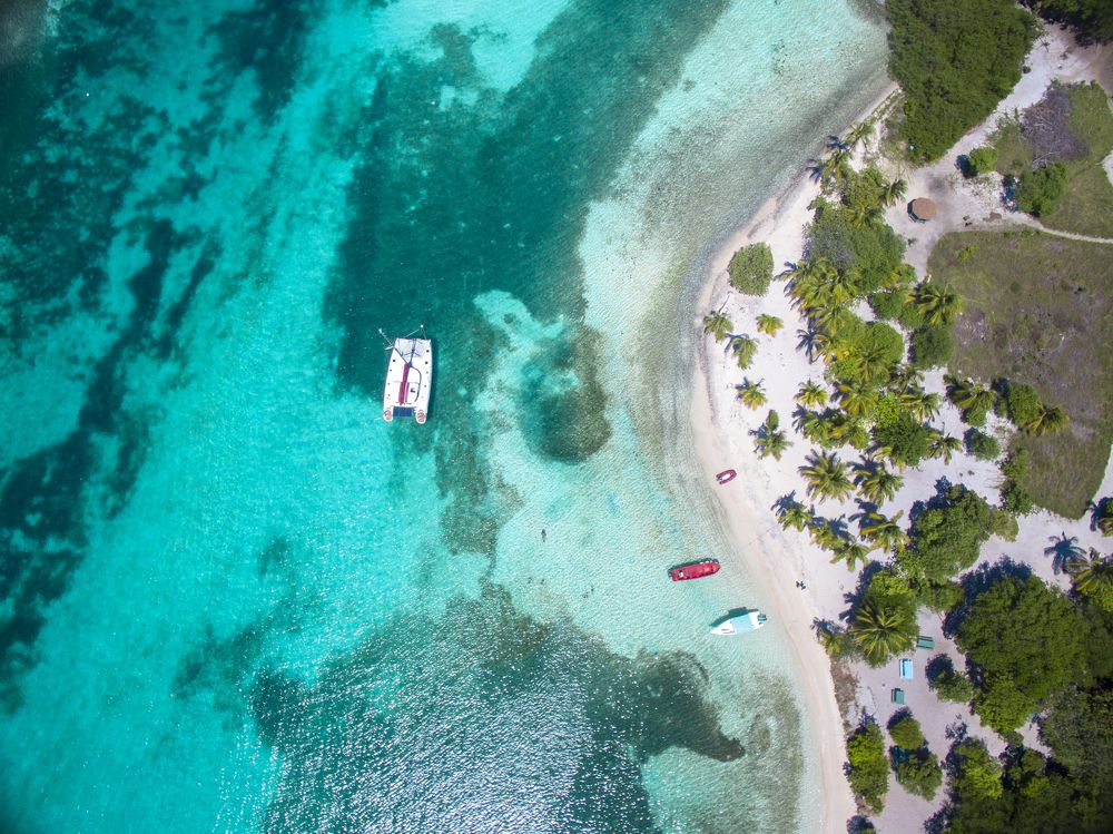 Tropical Paradise
