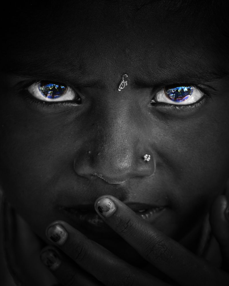 Blue-eyed Black Beauty