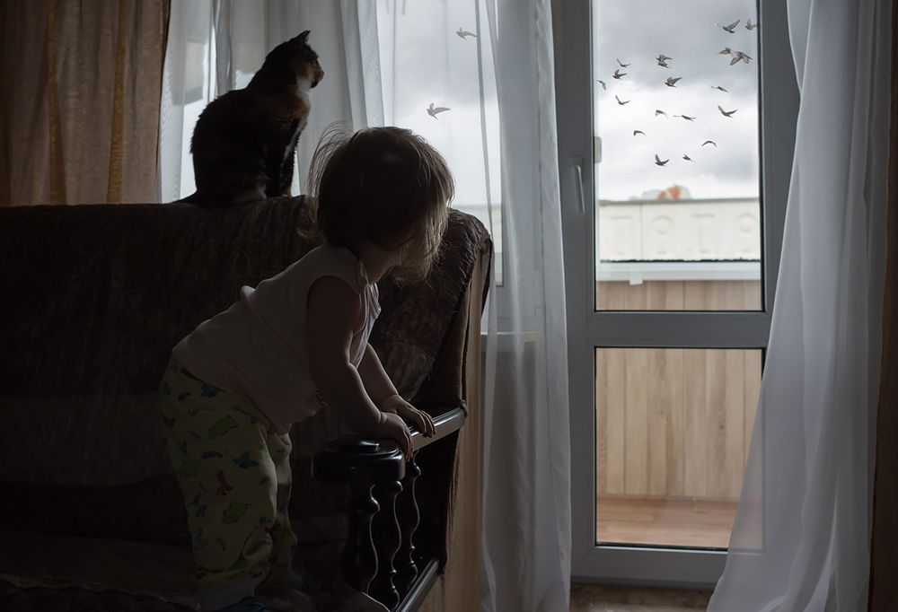 Любопытство..