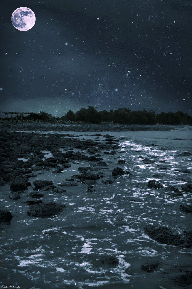 In the full moon night