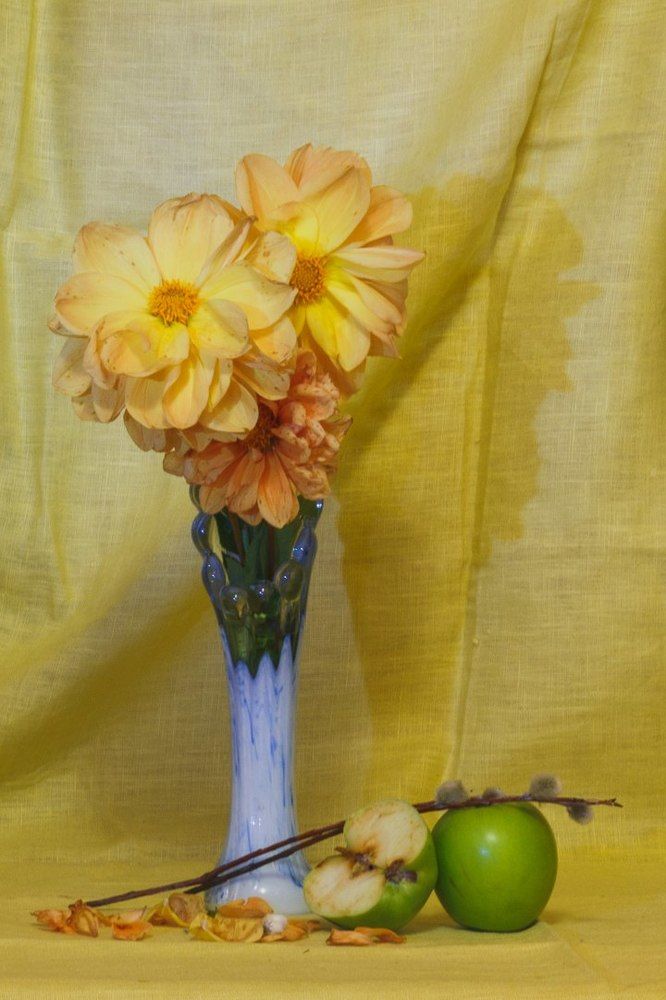 Солнечный цвет