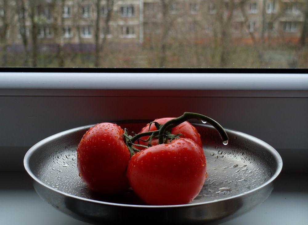 Осень на дворе