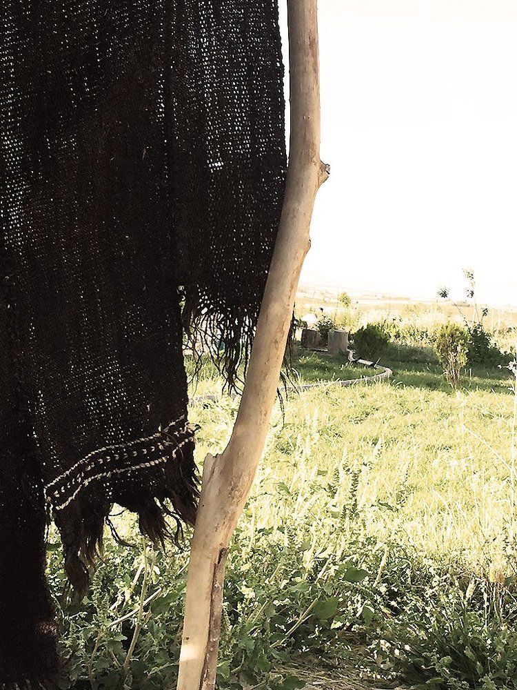 Photograph by Mahdieh Katouzian -