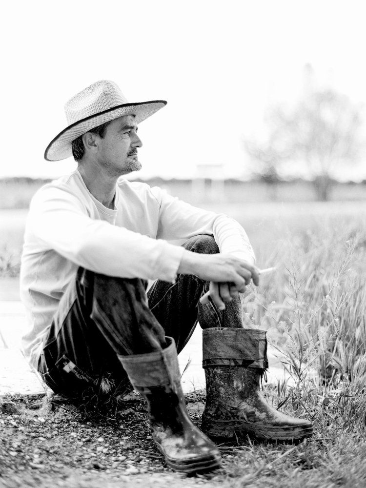 Виноградарь