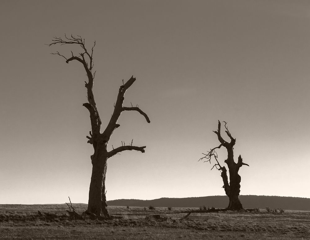 Два одиночества